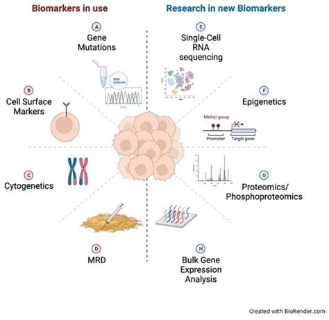 CRISPR-Cas9 Breakthroughs: Exploring the Latest Innovations and Applications in Gene Editing for Biotechnology Advancements