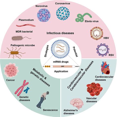 Exploring the Impact of Genetically Modified Food: Innovations, Benefits, and Controversies in Biotechnology