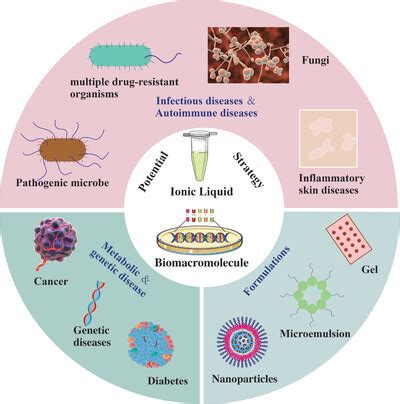 Exploring the Impact of Genetically Modified Food: Innovations, Benefits, and Controversies in Biotechnology