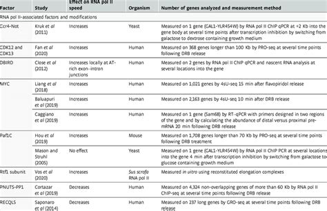 Top GMO Foods You Need to Know: Exploring the Benefits, Risks, and Future of Genetically Modified Crops in Modern Biotechnology