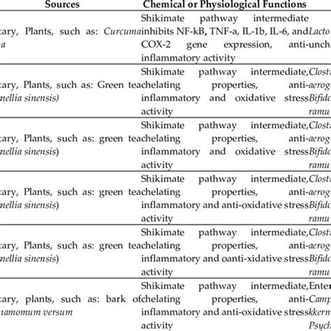 Top GMO Foods You Need to Know: Exploring the Benefits, Risks, and Future of Genetically Modified Crops in Modern Biotechnology