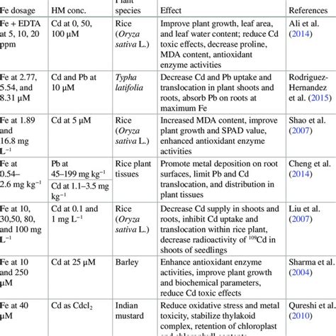 Top GMO Foods You Need to Know: Exploring the Benefits, Risks, and Future of Genetically Modified Crops in Modern Biotechnology