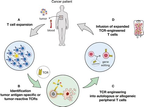 Revolutionizing Biotechnology: A Comprehensive Guide to CRISPR DNA Editing and Its Breakthrough Applications in Genetic Engineering