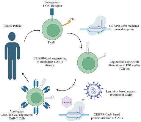 Revolutionizing Biotechnology: A Comprehensive Guide to CRISPR DNA Editing and Its Breakthrough Applications in Genetic Engineering