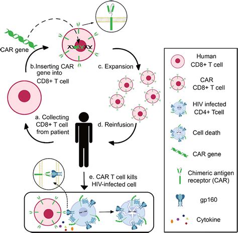 Revolutionizing Biotechnology: A Comprehensive Guide to CRISPR DNA Editing and Its Breakthrough Applications in Genetic Engineering