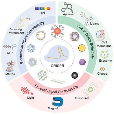 Understanding GMO: Exploring the Meaning, Benefits, and Controversies of Genetically Modified Organisms in Modern Biotechnology